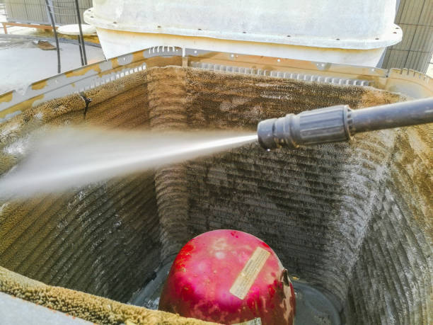 Best Air Duct Mold Removal  in St Paul, VA